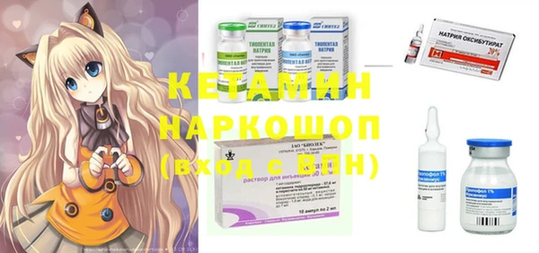 крисы Армянск