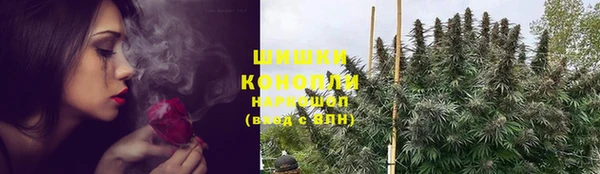 крисы Армянск