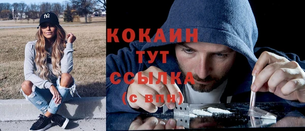 крисы Армянск